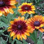 Дом отдыха Mazurska Riwiera *