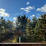 Mazurska Riwiera Dabrowa (Gmina Dzwierzuty)