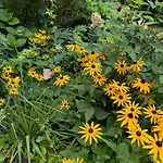 Mazurska Riwiera Дом отдыха Dabrowa (Gmina Dzwierzuty)