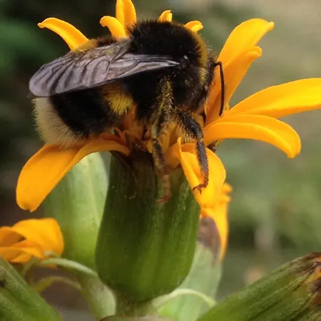 Mazurska Riwiera Holiday home *