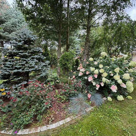 Mazurska Riwiera * Dabrowa (Gmina Dzwierzuty)