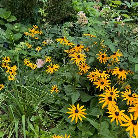 Mazurska Riwiera Holiday home Dabrowa (Gmina Dzwierzuty)